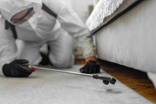 Professional Pest Control technician working in Webster County County, IA